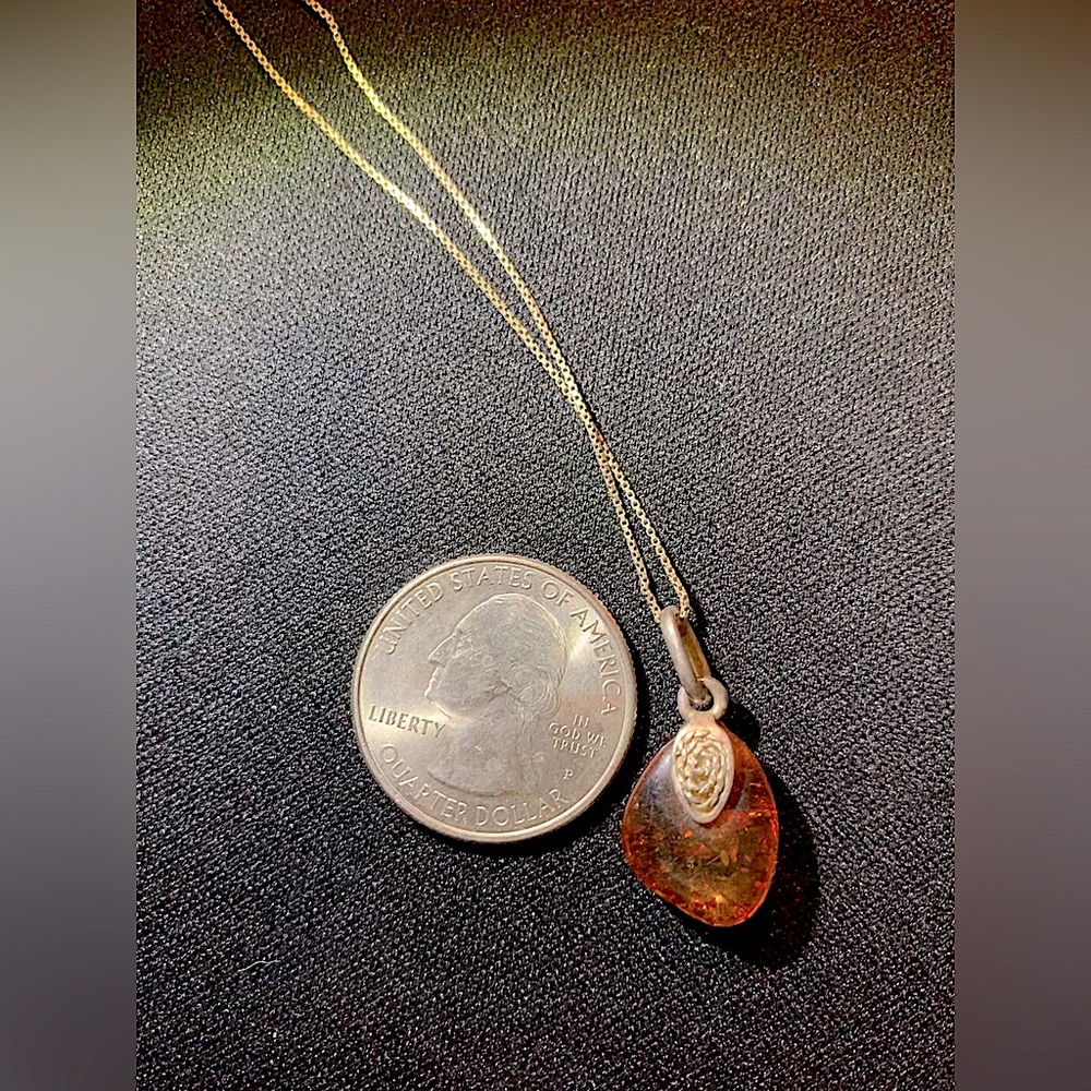Amber Pendant Necklace - NWOT - Picture 3 of 3
